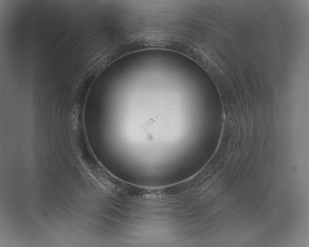 X0000073990744200609060957