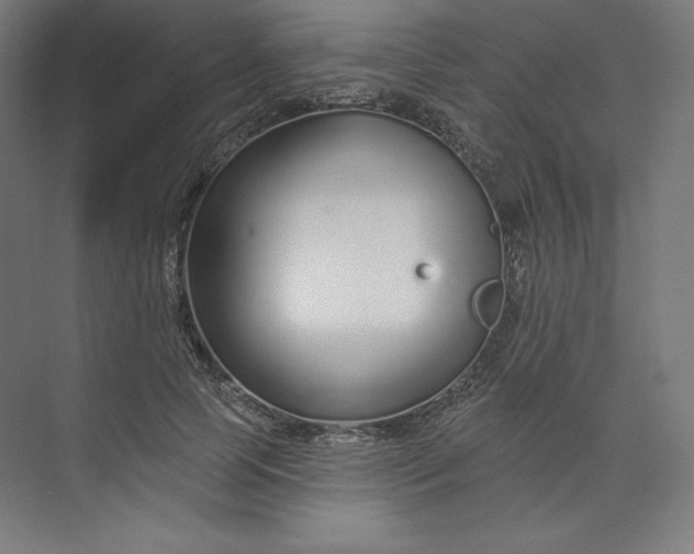 X0000073990745200609060957