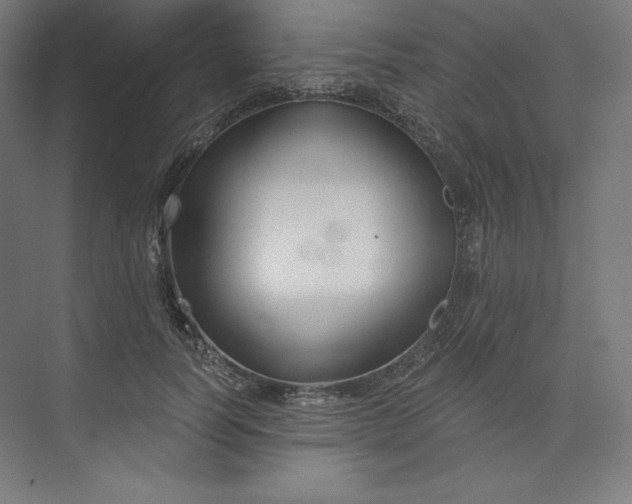 X0000073990746200609060957