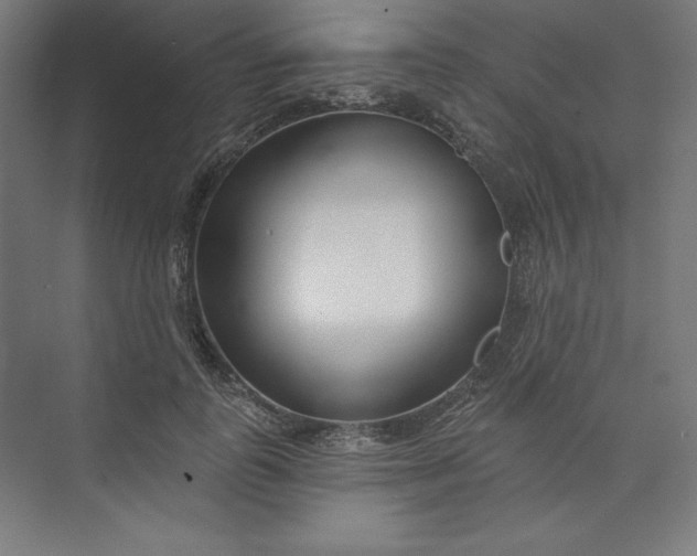 X0000073990747200609060957