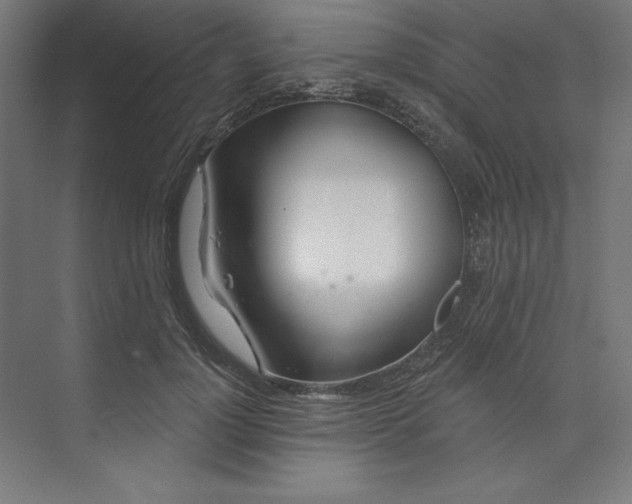 X0000073990748200609060957