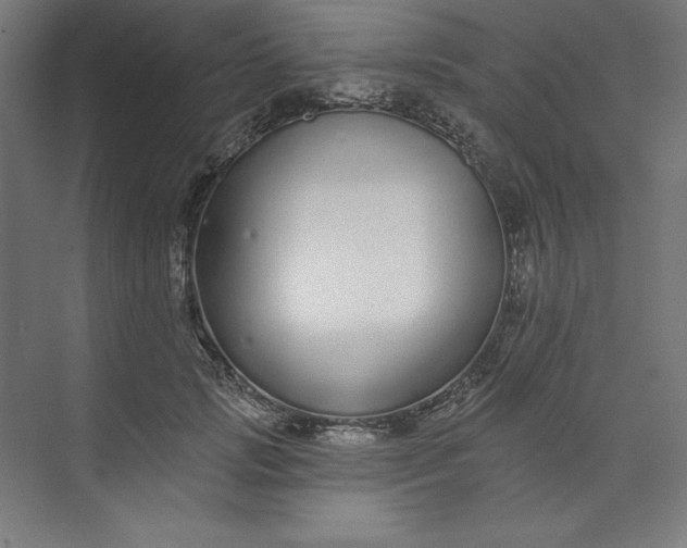 X0000073990749200609060957