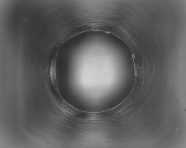 X0000073990750200609060957