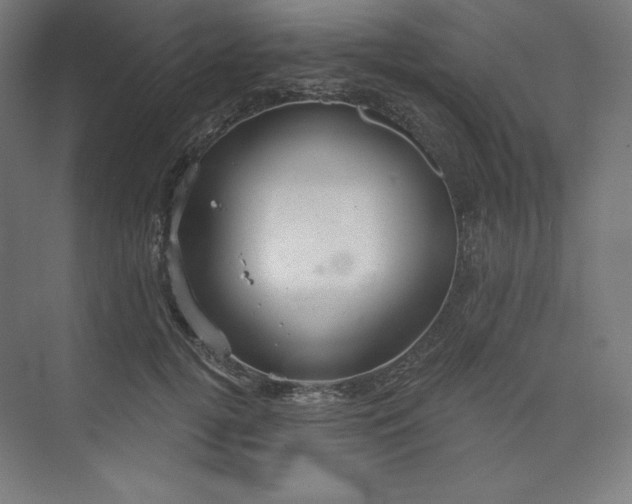 X0000073990752200609060957