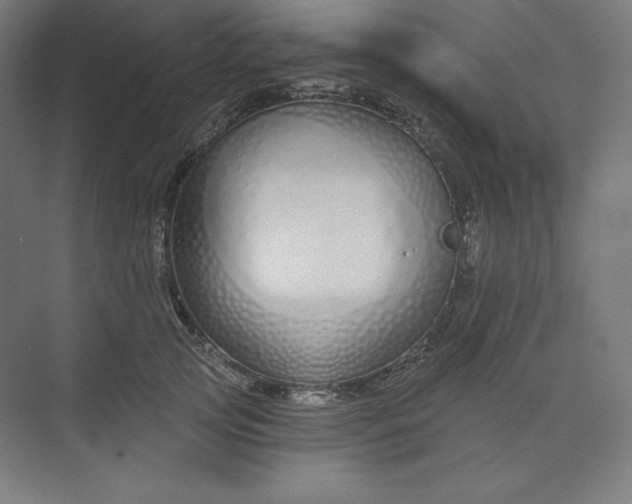 X0000073990753200609060957