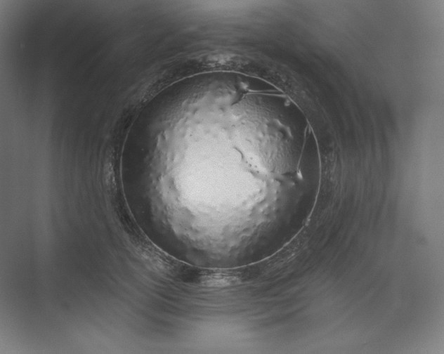 X0000073990754200609060957