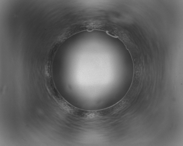 X0000073990755200609060957