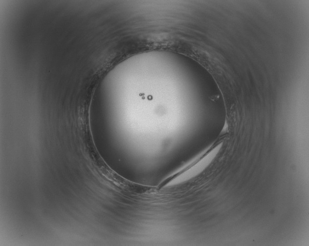 X0000073990756200609060957