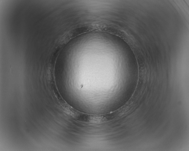 X0000073990757200609060957