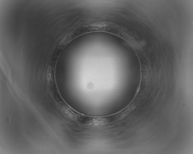 X0000073990758200609060957