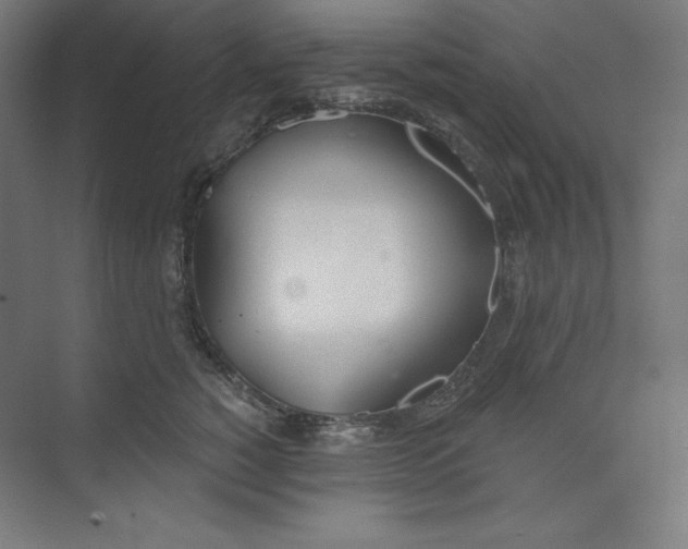 X0000073990760200609060957