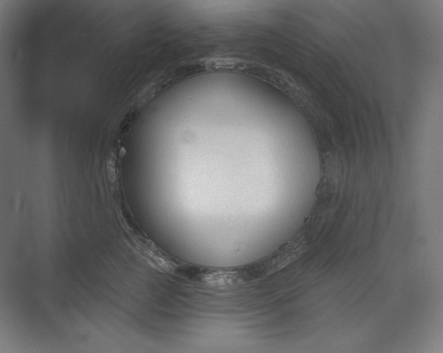 X0000073990761200609060957