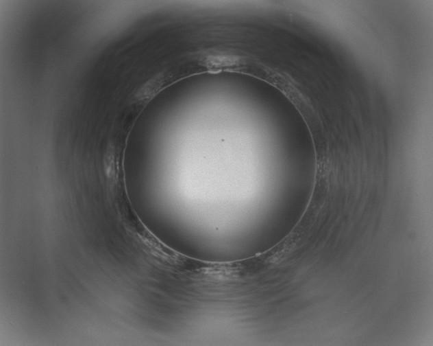 X0000073990763200609060957