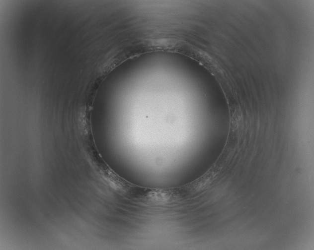 X0000073990764200609060957