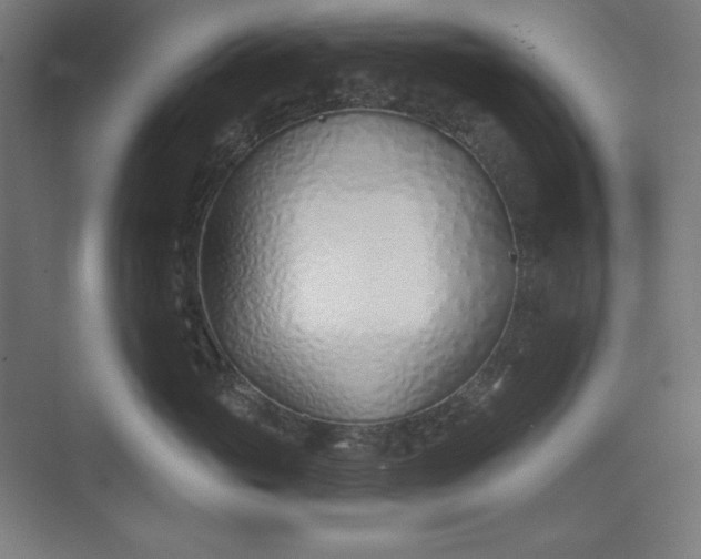 X0000073990765200609060957