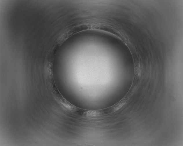 X0000073990766200609060957