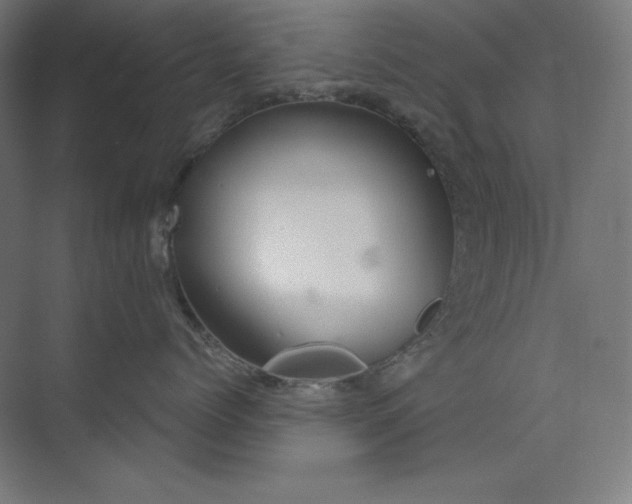 X0000073990768200609060957