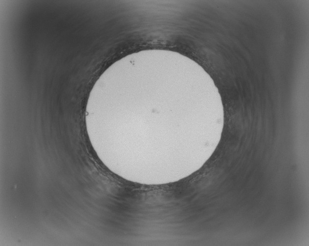 X0000073990769200609060957