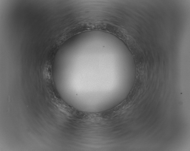 X0000073990770200609060957