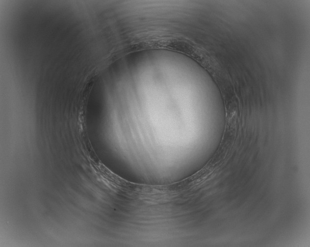 X0000073990772200609060957