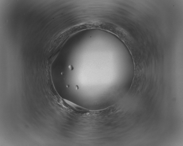 X0000073990773200609060957