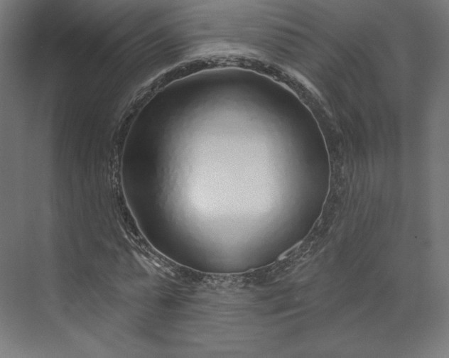 X0000073990775200609060957