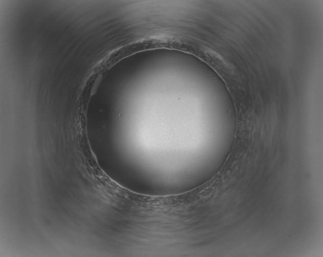 X0000073990776200609060957