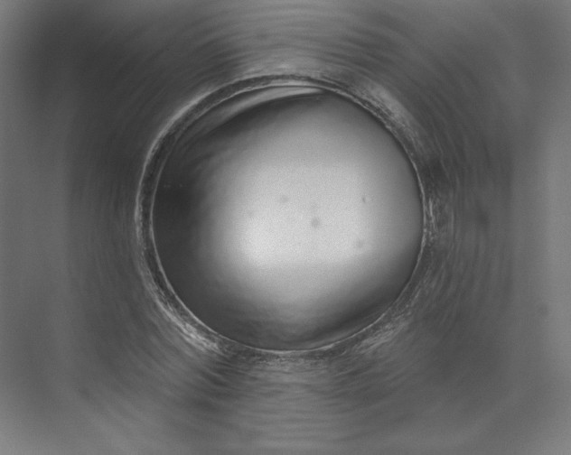 X0000073990780200609060956