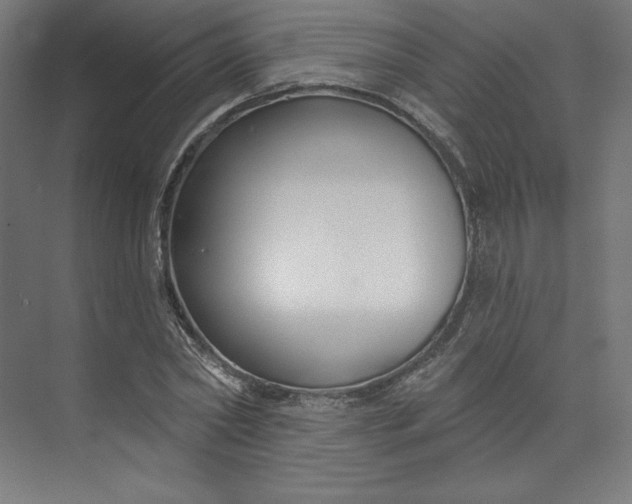 X0000073990782200609060956