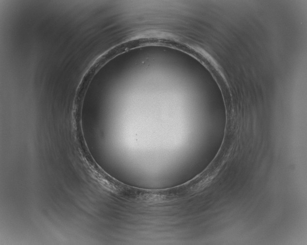 X0000073990783200609060956