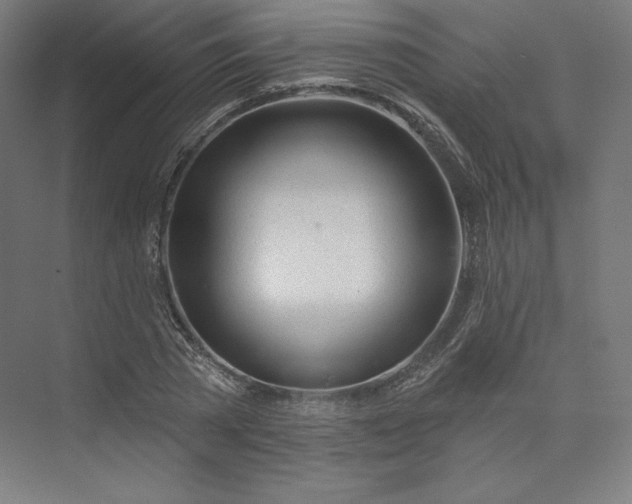 X0000073990785200609060956