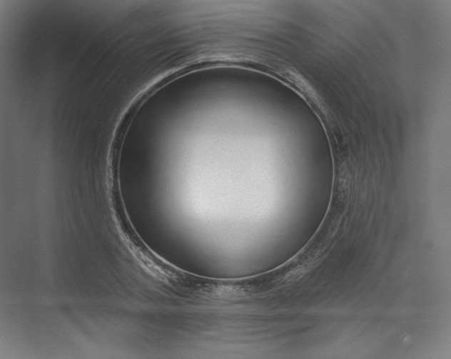 X0000073990787200609060956