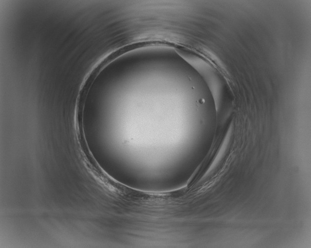 X0000073990788200609060956