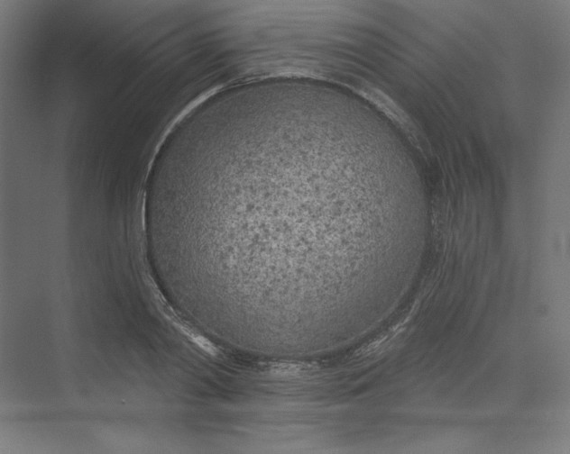 X0000073990790200609060956