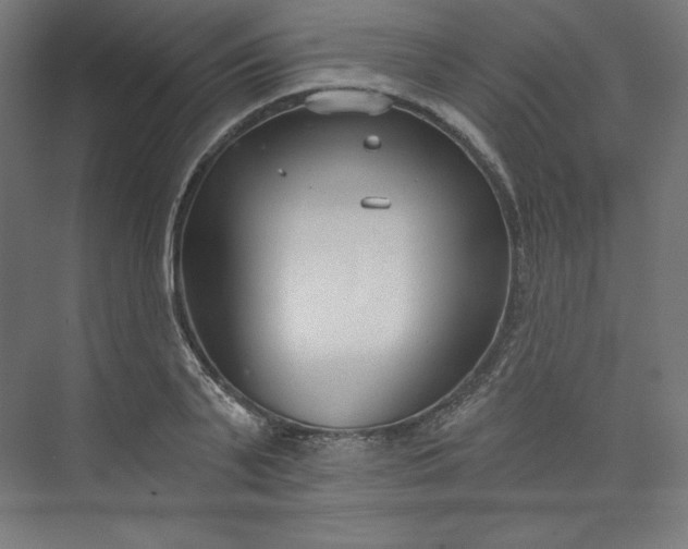 X0000073990791200609060956