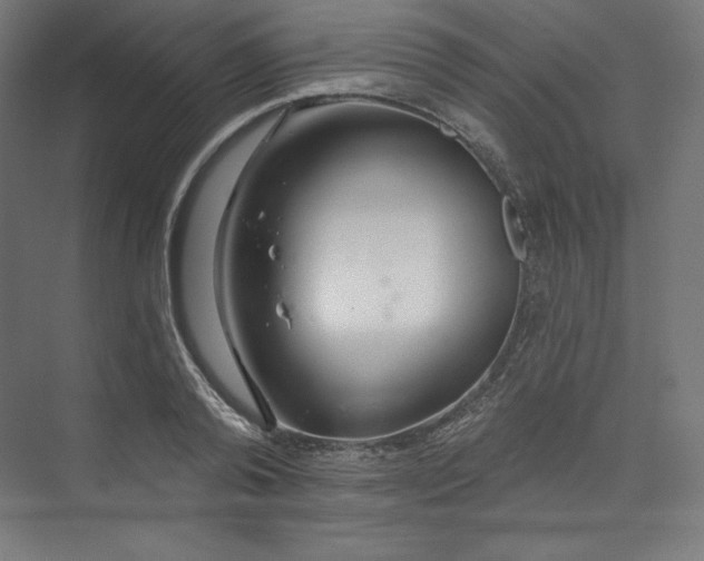 X0000073990792200609060956