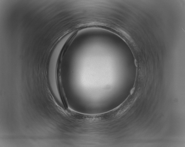 X0000073990793200609060956