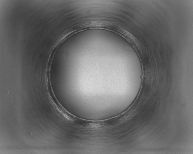 X0000073990794200609060956