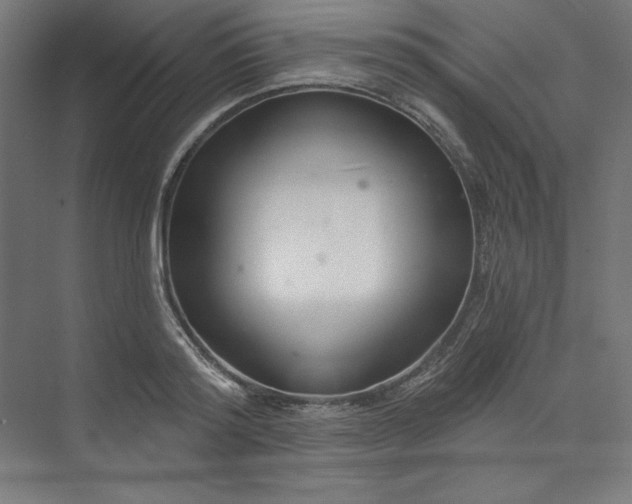 X0000073990796200609060956