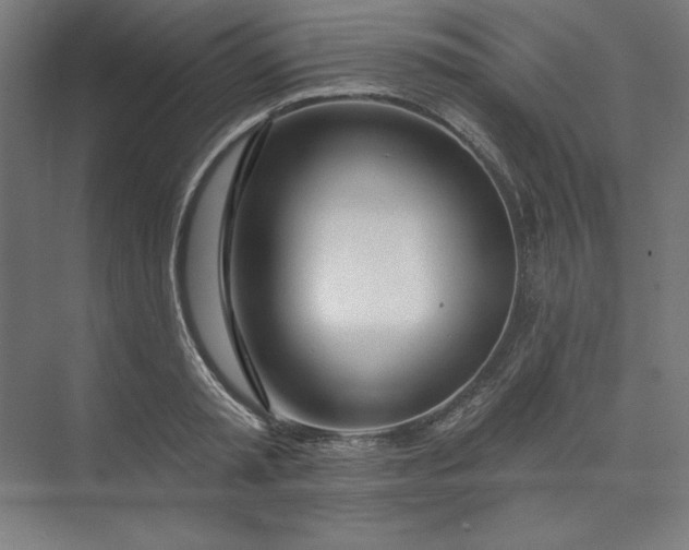 X0000073990797200609060956