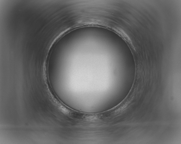 X0000073990798200609060956