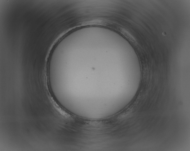 X0000073990800200609060956