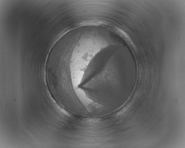 X0000073990802200609060956