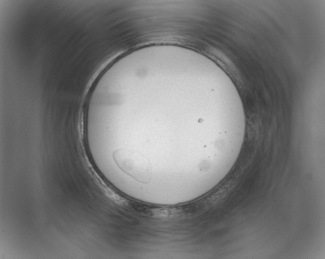 X0000073990804200609060956