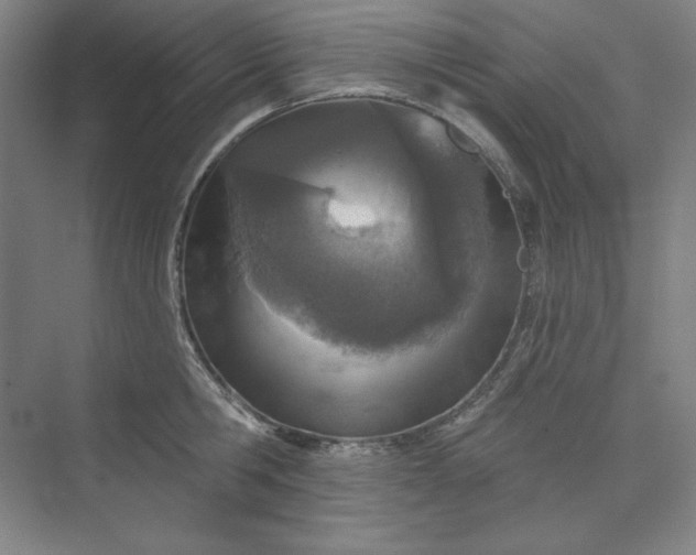 X0000073990806200609060956