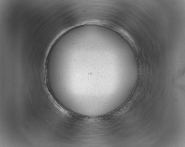 X0000073990808200609060956