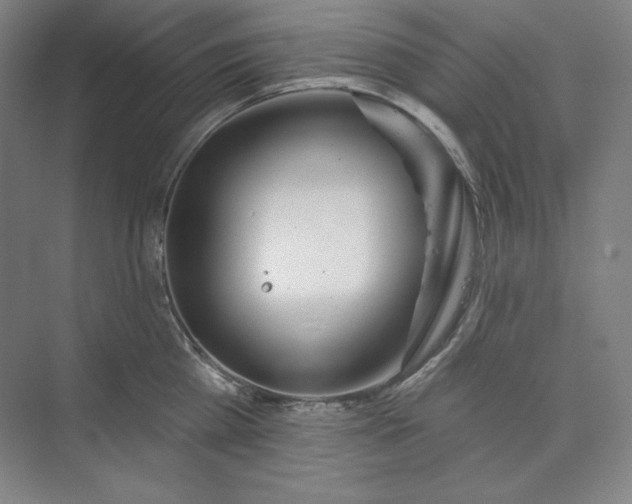 X0000073990809200609060956