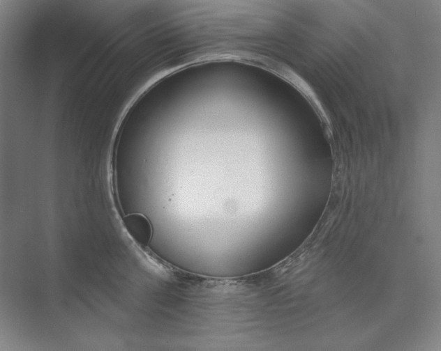 X0000073990811200609060956