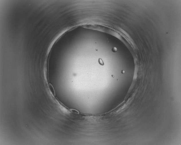 X0000073990812200609060956