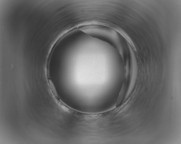 X0000073990813200609060956